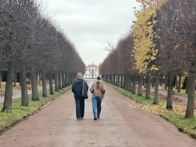 Синоптик предрек петербуржцам теплые выходные и снег во второй половине ноября