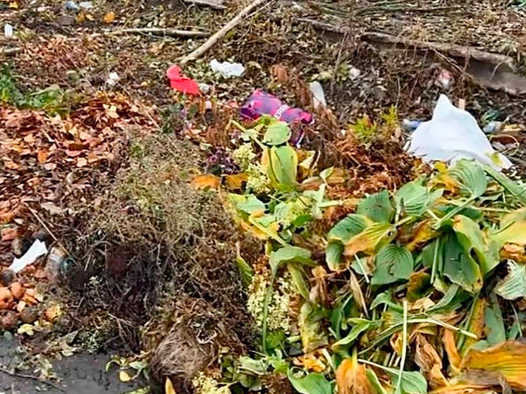 В Липецкой области администрация игнорирует проблему мусора на площадках ТКО