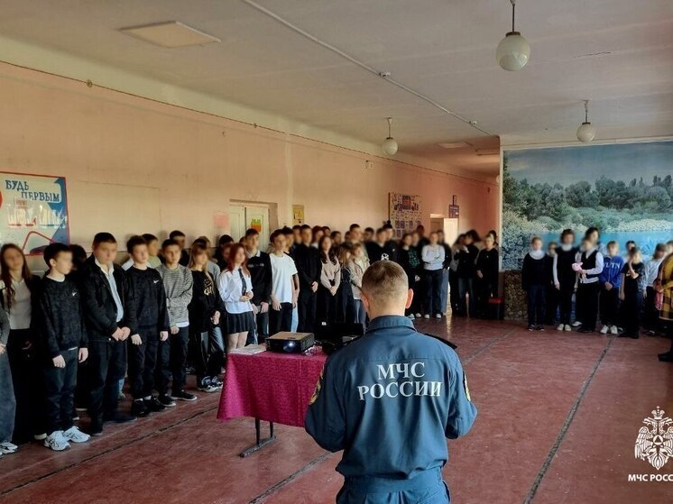 Инспекторы МЧС провели профилактический урок для запорожских школьников из преславской средней школы