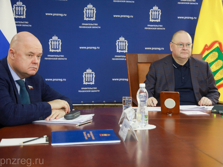 13 миллиардов рублей направят на реализацию нацпроектов в Пензенской области