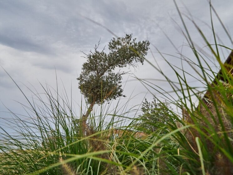 В Пензенской области действует штормовое предупреждение
