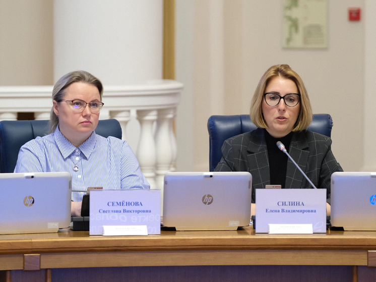 На внеочередном заседании правительства Новгородской области, которое провел первый заместитель губернатора Евгений Богданов, временно исполняющая обязанности министра финансов Елена Силина представила проект бюджета региона на 2026 год и плановый период 2027–2028 годов