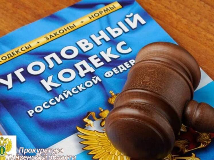 Более 345 тысяч рублей ущерба возместили пензенские мошенники за фиктивный ремонт техники