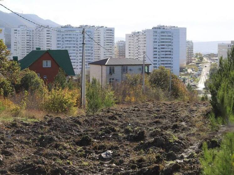 В Геленджике начали создавать минерализованные полосы для защиты от природных пожаров