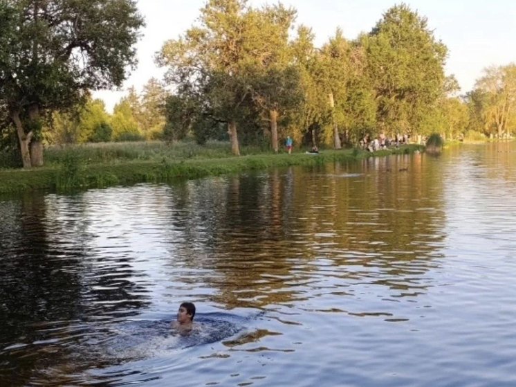 В Новосибирской области подвели итоги купального сезона