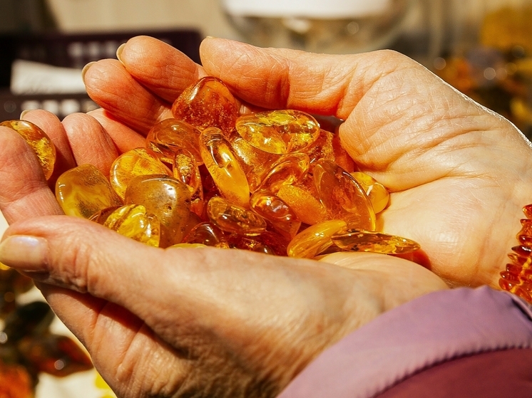 Ученые открыли новый вид древнего жука в балтийском янтаре