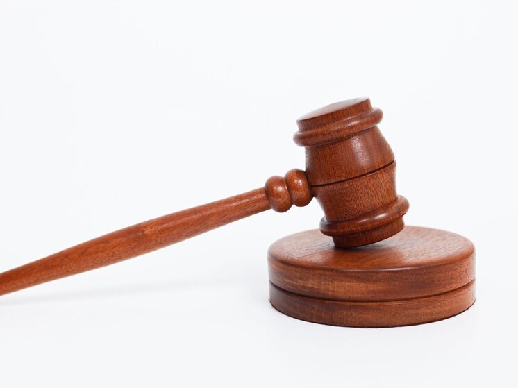 Суд заочно арестовал историка Тамару Эйдельман* по делу о реабилитации нацизма