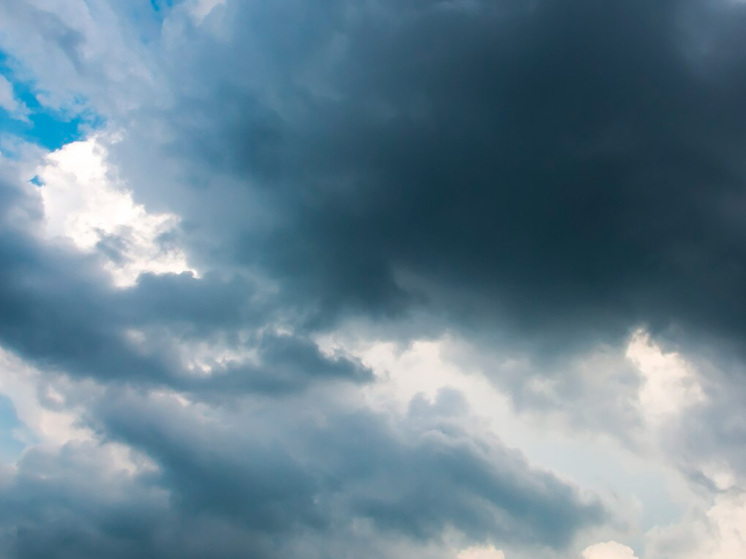 Начало ноября принесет липчанам морось и 7 градусов тепла