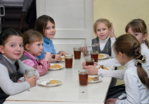 С 1 января 2026 года во всех сельских школах региона питание для учащихся станет бесплатным, также как и посещение малышами детских садов