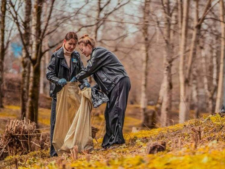 Более 800 тонн мусора собрали вологжане на осенних субботниках