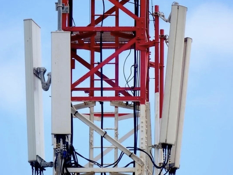 Под Новосибирском пресекли работу незаконного интернет-провайдера