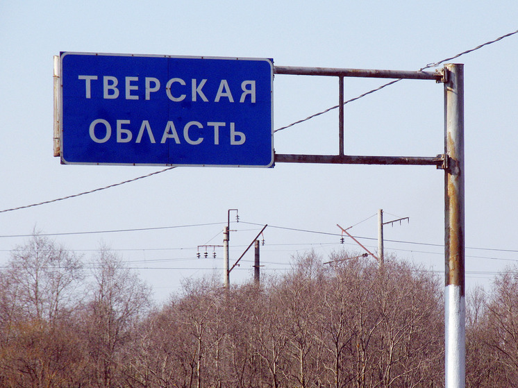 РБК: замруководителя ФАС Королев претендует на должность тверского губернатора