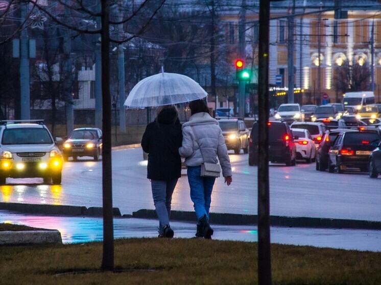 Ноябрь в Тульской области начнется с +1, дождей и ветра
