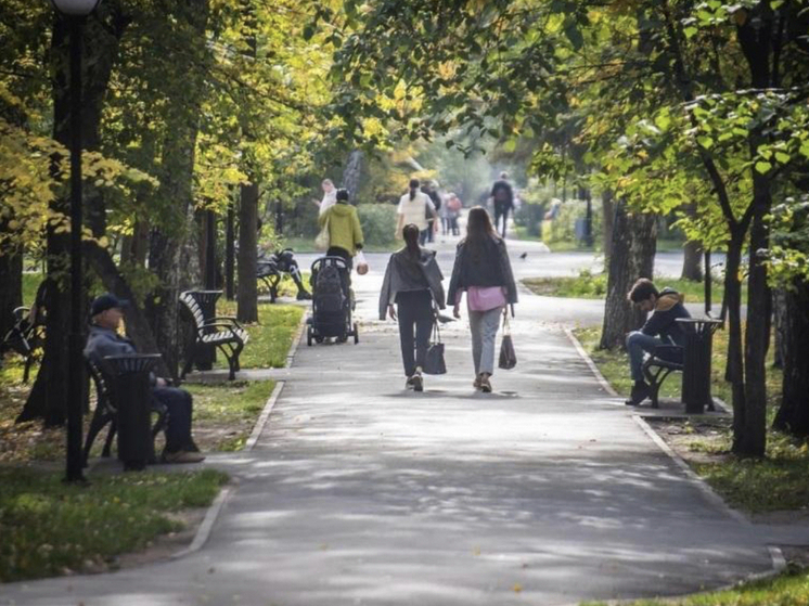 С 1 ноября в Новосибирске вступают в силу новые правила: долги, SIM-карты и штрафы за езду без ОСАГО