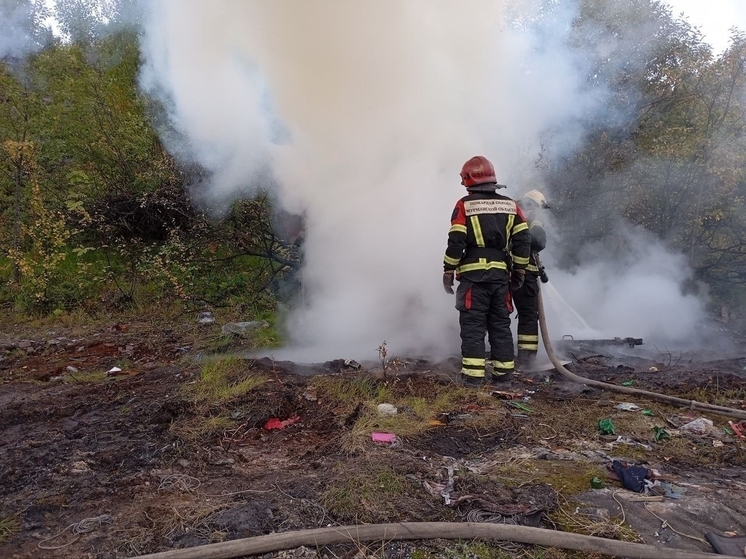 Пожарные потушили пожар на территории бывшей птицефабрики «Снежная»