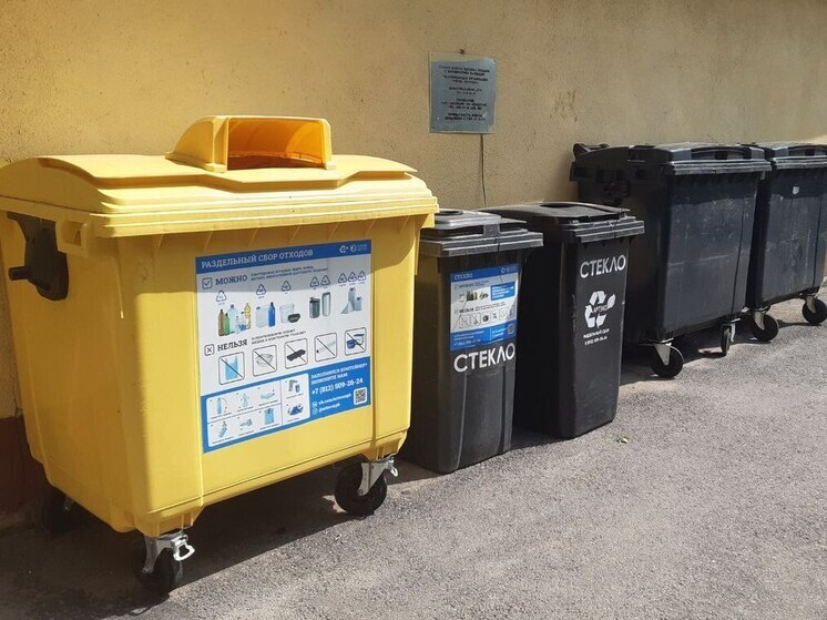 Петербуржцев попросили выбрасывать влажные салфетки в мусорные контейнеры