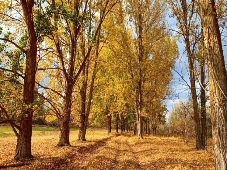 Пожароопасный сезон в Астраханской области завершен