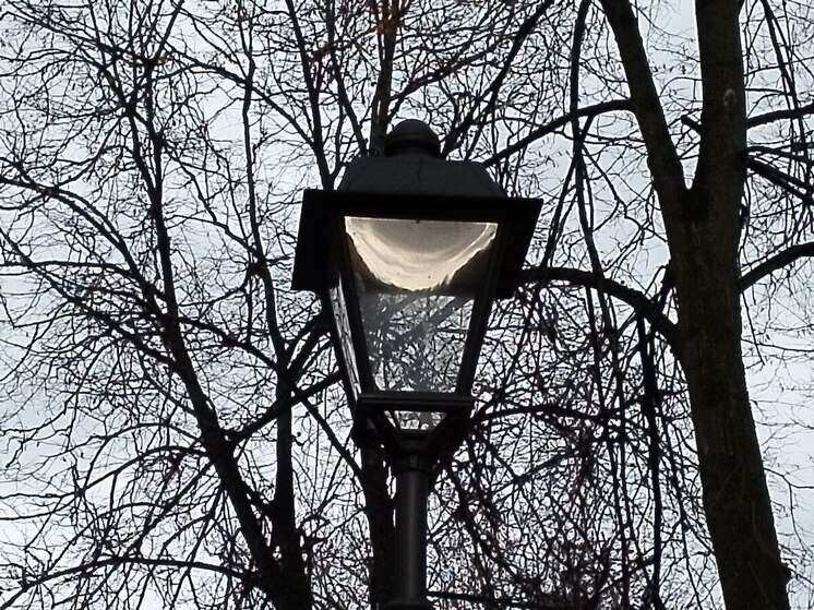 Ноябрь в Ленобласти начнется с дождя и температуры воздуха до +8 градусов