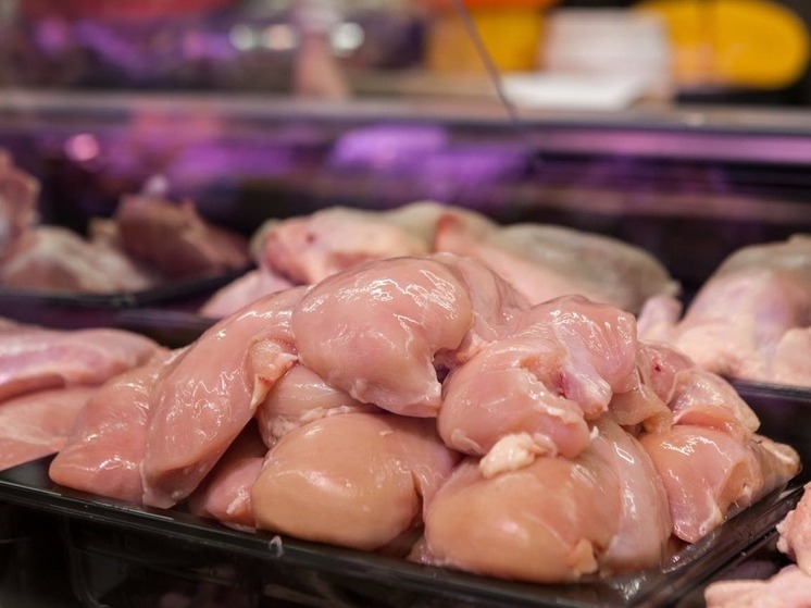 В Дагестане утилизировали 720 кг курятины, зараженной сальмонеллой