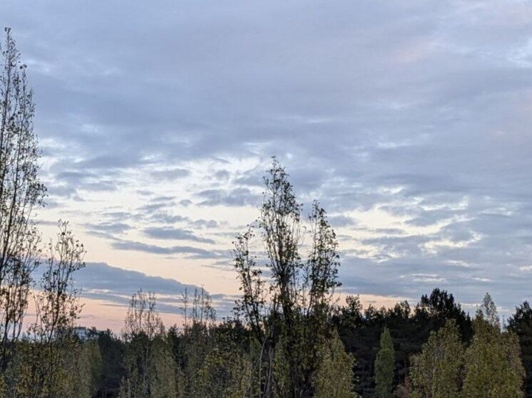 На длинных выходных в Воронеже похолодает до 0 градусов