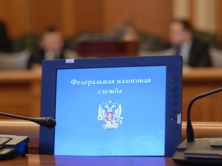 В России вступил в силу закон о взыскании долгов по налогам и штрафам