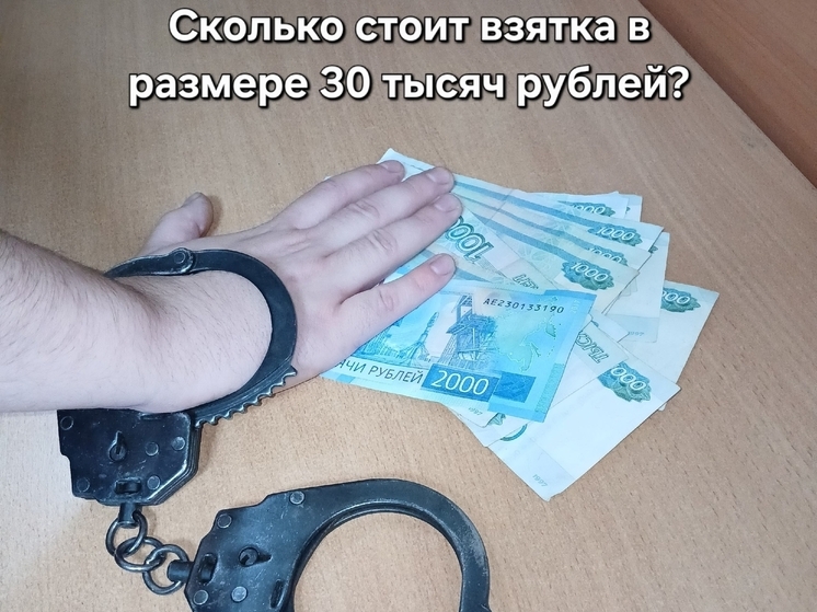 В Ярославле полмиллиона заплатит водитель, пытавшийся подкупить сотрудника ГИБДД