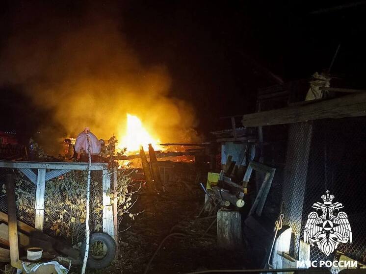 40 кур погибли на пожаре в Кузбассе