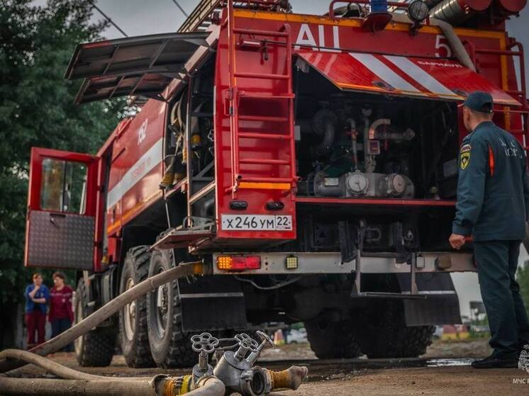 В Алтайском крае огонь уничтожил более 200 центнеров сена