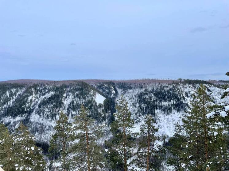 Народный синоптик: В Якутии ожидается теплая зима