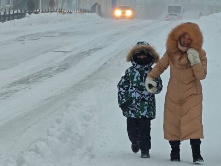 На восточном побережье Чукотки в субботу ожидается ветер до 30 м/с
