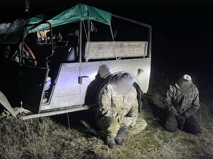 Очередной случай браконьерства был недавно зафиксирован в Алтайском крае, сообщает &laquo;Толк&raquo;