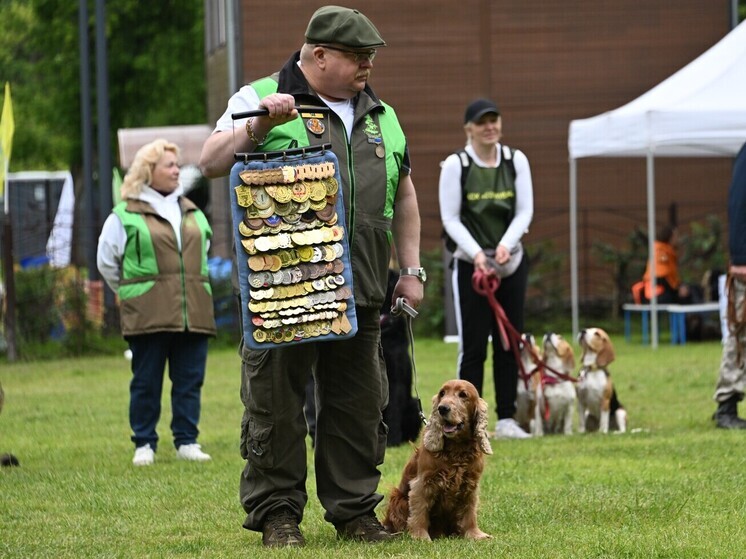 Звезду мультфильма «Леди и Бродяга» назвали самой нестабильной породой собак