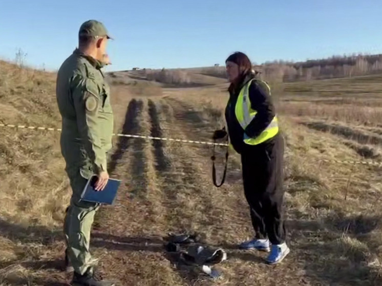 В Красноярске возбуждено уголовное дело против защитников собак за оскорбления в адрес родителей погибшего ребенка