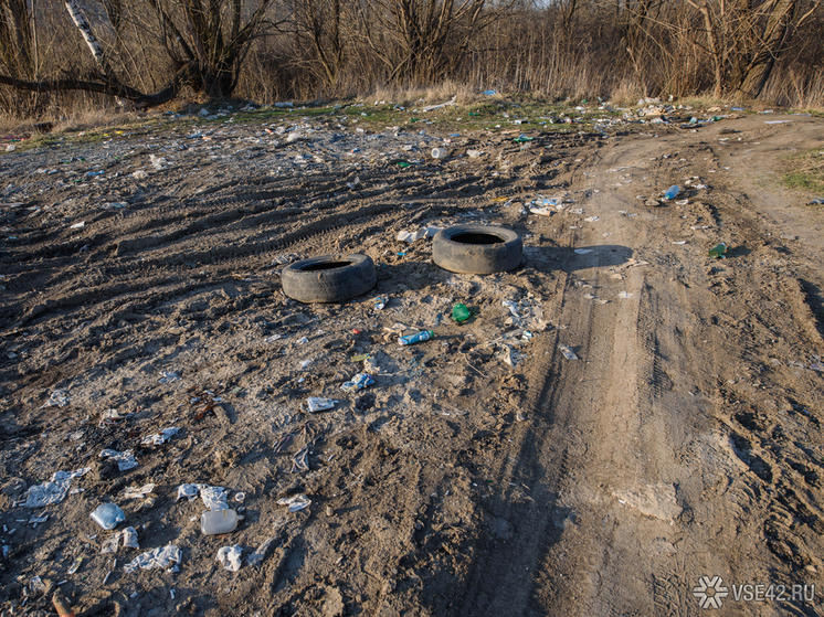 В Кемерове частный сектор буквально завален отходами