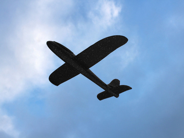 Три муниципалитета Воронежской области пытались атаковать украинские БПЛА