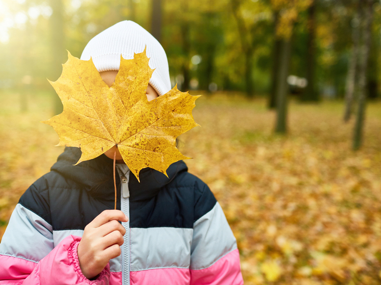Опубликован прогноз погоды на праздничные выходные 2-4 ноября в Красноярске