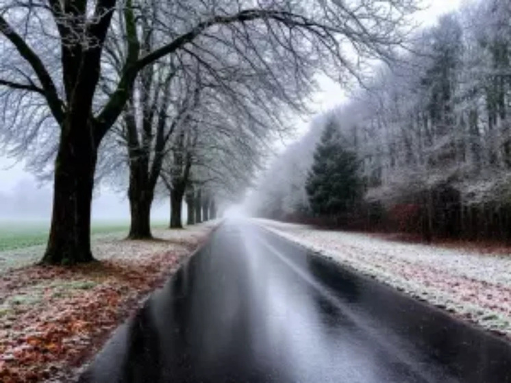 Морозы и дожди накроют Ростовскую область в последний осенний месяц
