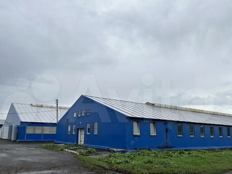 В Кузбассе выставлен на реализацию объект животноводства