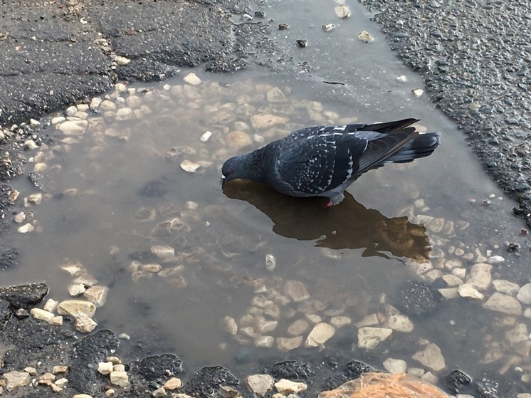 Саратовскую область ждёт сильный дождь и порывистый ветер