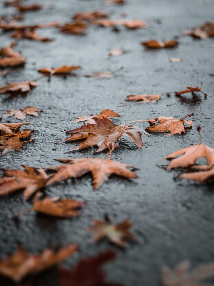 В Улан-Удэ всю ночь подсыпали дороги из-за дождя и гололедицы
