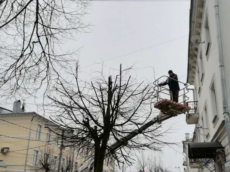 В Костроме началась санитарная обрезка деревьев