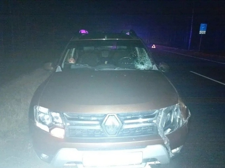 Пешеход погиб в ДТП с двумя иномарками в Череповецком округе