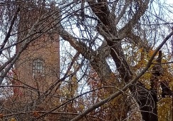 Фабрика-призрак скрывает свои тайны на волжском берегу под Саратовом