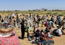 Суданские военизированные «Силы оперативной поддержки» (RSF) утверждают, что арестовали нескольких своих бойцов после того, как возмущение по поводу масштабов убийств жителей в захваченном городе Эль-Фашир продолжило расти