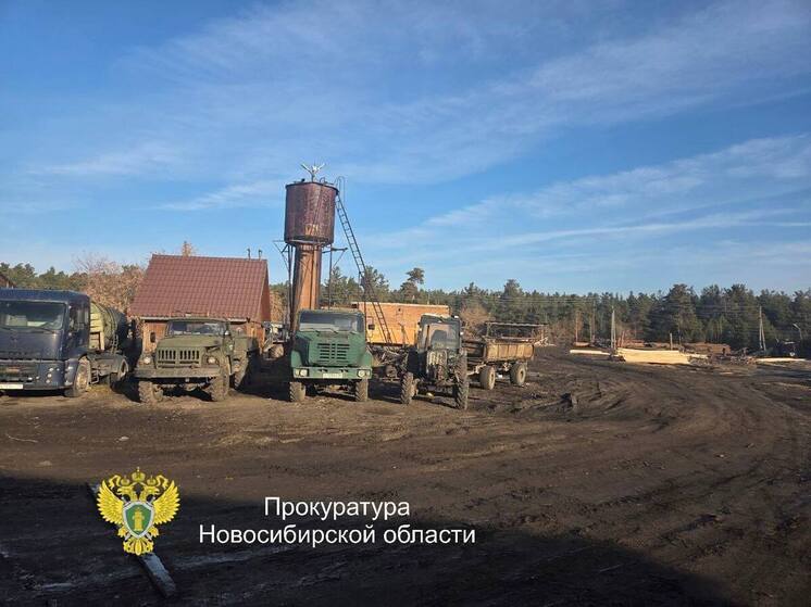Следком возбудил дела о взятках в лесной отрасли Новосибирской области