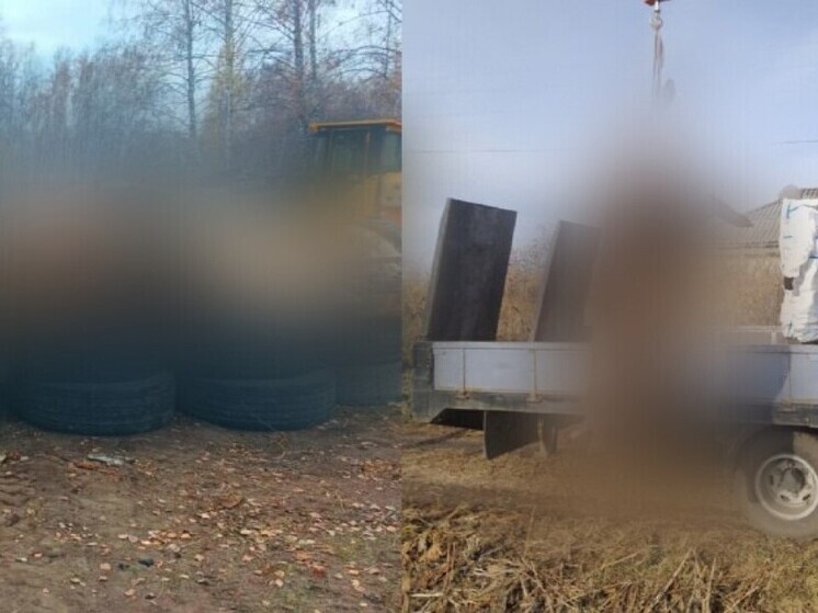 В Новосибирской области изымают свиней на территориях очагов опасной болезни