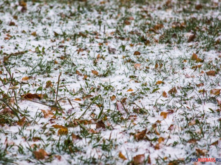В Кузбассе прогнозируют осадки в виде мокрого снега и усиление ветра