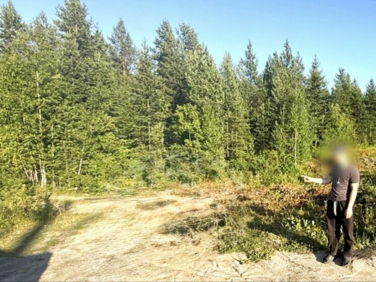 В Полярных Зорях осудили несовершеннолетнего наркоторговца