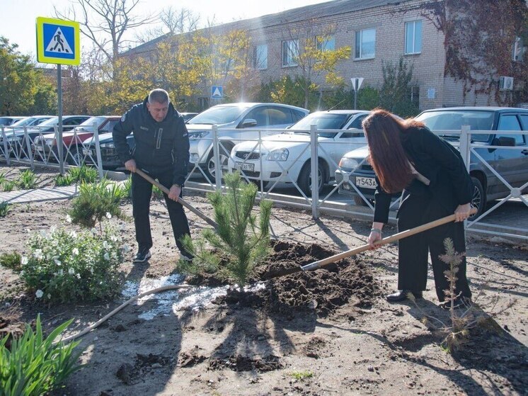 В школе Мелитополя высадили деревья и розы в честь Дня народного единства