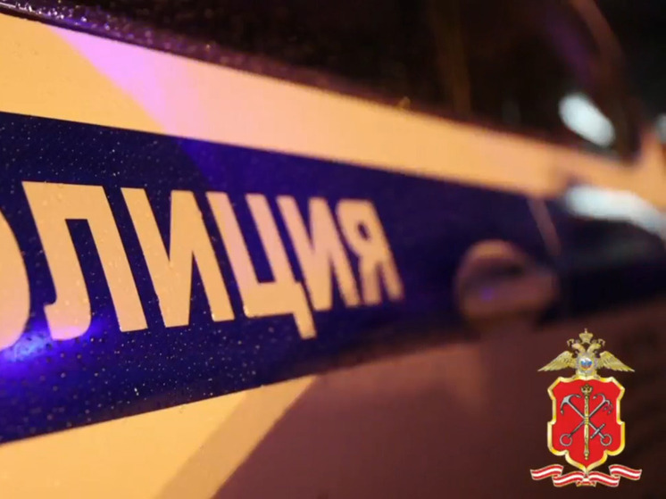 В Лодейнопольском районе машина сбила пешехода, вышедшего на шоссе